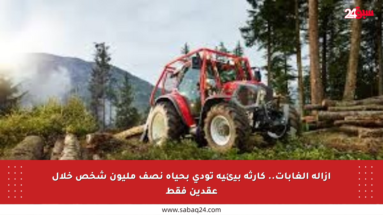 إزالة الغابات.. كارثة بيئية تودي بحياة نصف مليون شخص خلال عقدين فقط
